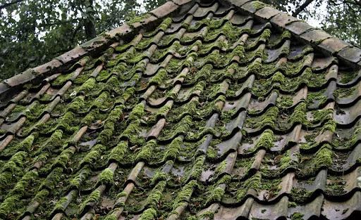 katuse-pesemine-efran; katuse-hooldus; katusepesu;