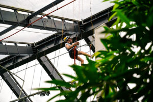 kõrgtööd Tallinna Loomaaias